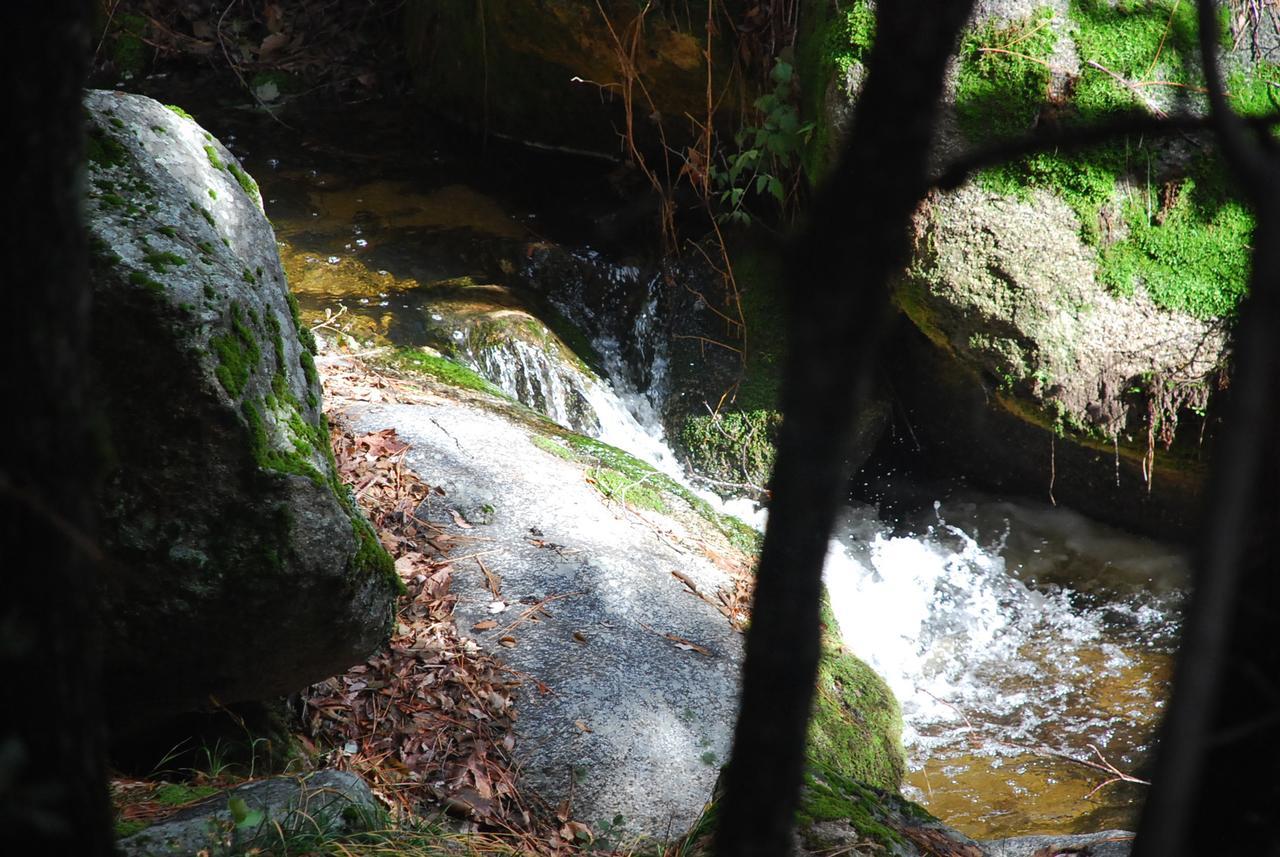 Sierra Trails Inn มารีโปซา ภายนอก รูปภาพ